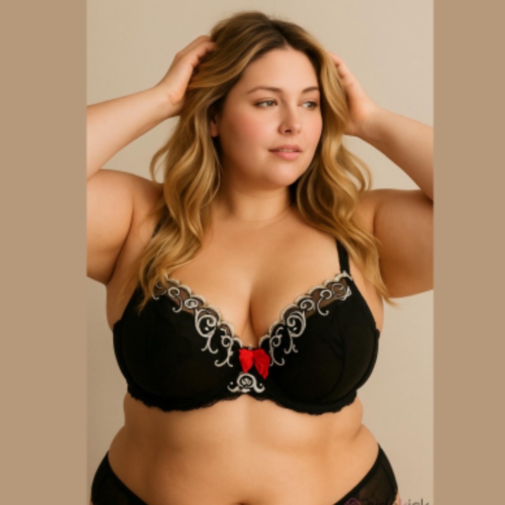 LANE BRYANT Cacique Bra 42H Sheer Black with White Lace Trim Full Coverage NWT